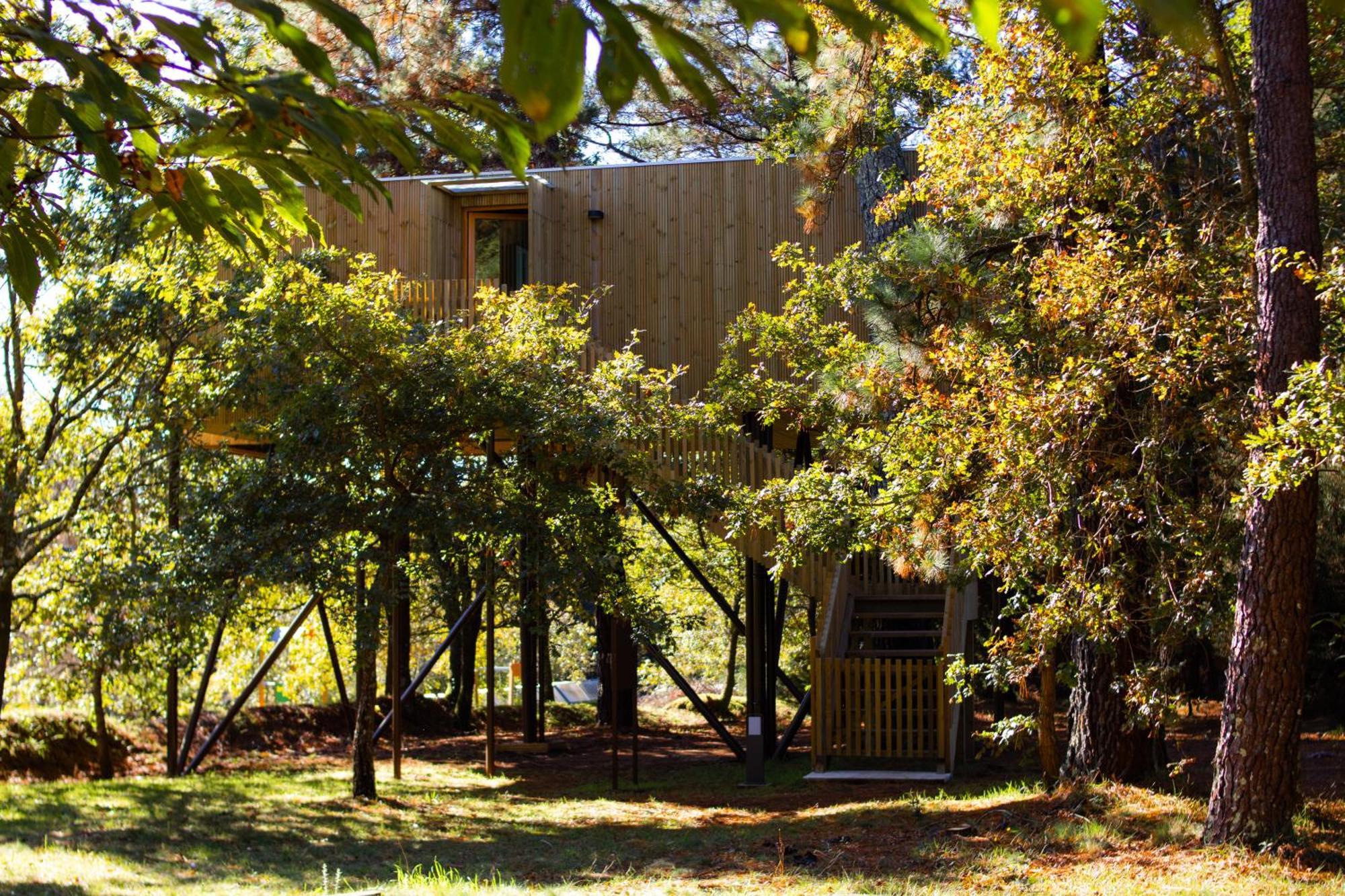 Holacamp Camino O Pino Εξωτερικό φωτογραφία